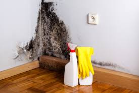 Mold Remediation for Rental Properties in Churchill, MT